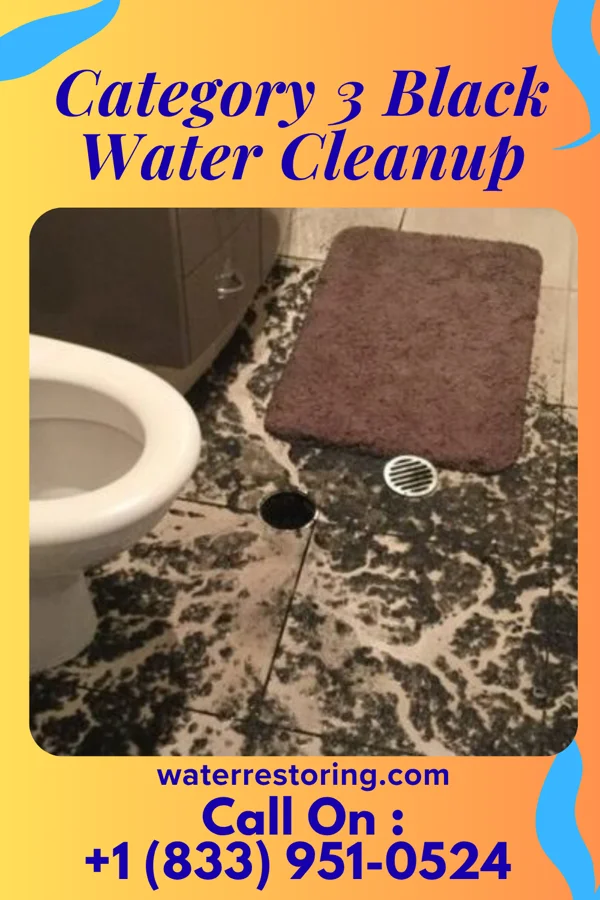 Category 3 Black Water Cleanup in Lewisville, MN
