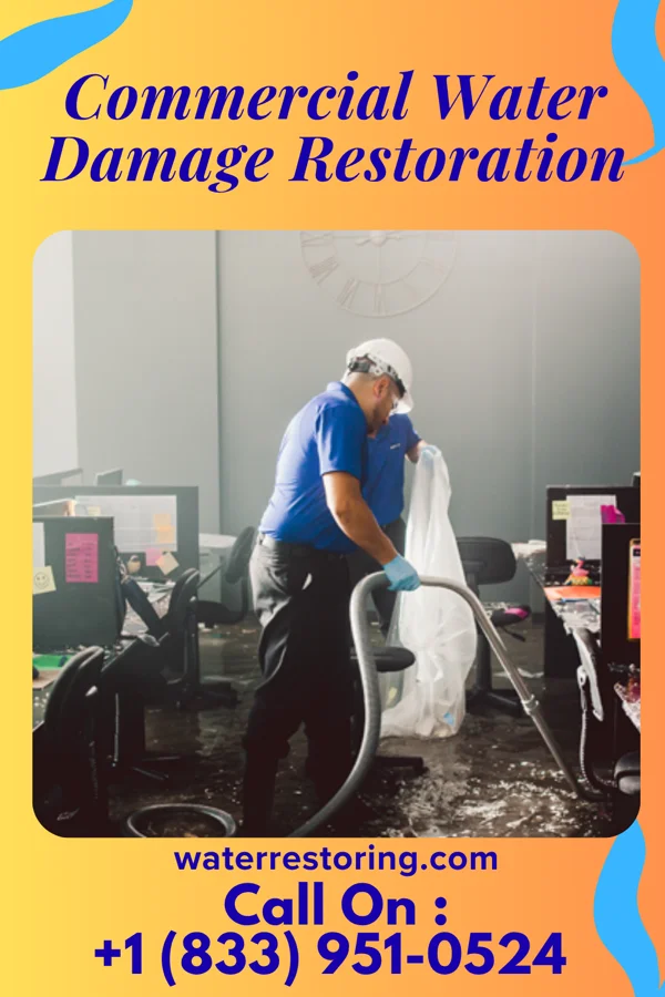 Commercial Water Damage Restoration in Lewisville, MN
