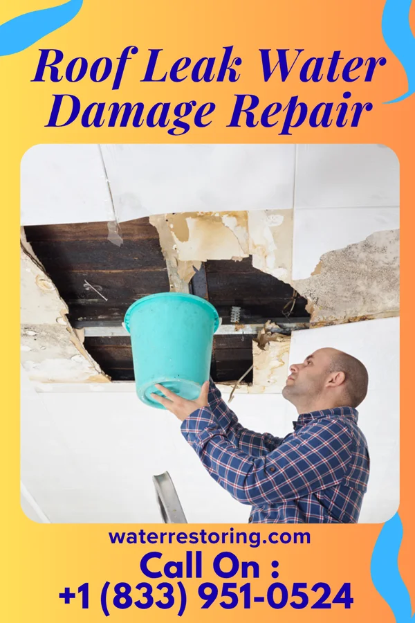 Roof Leak Water Damage Repair in Lewisville, MN